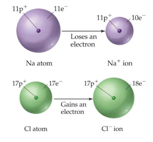 Cation and Anion Image