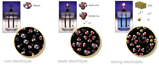 Electrolyte Comparison