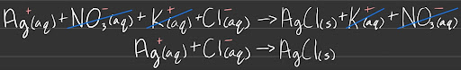 Net Ionic Equation